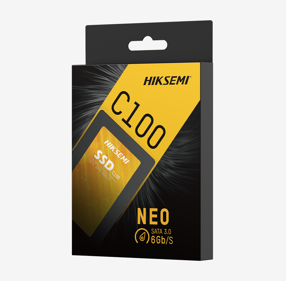 HIKSEMI NEO C100